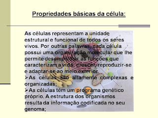 Encantos Da Ci Ncias Power Point C Lulas