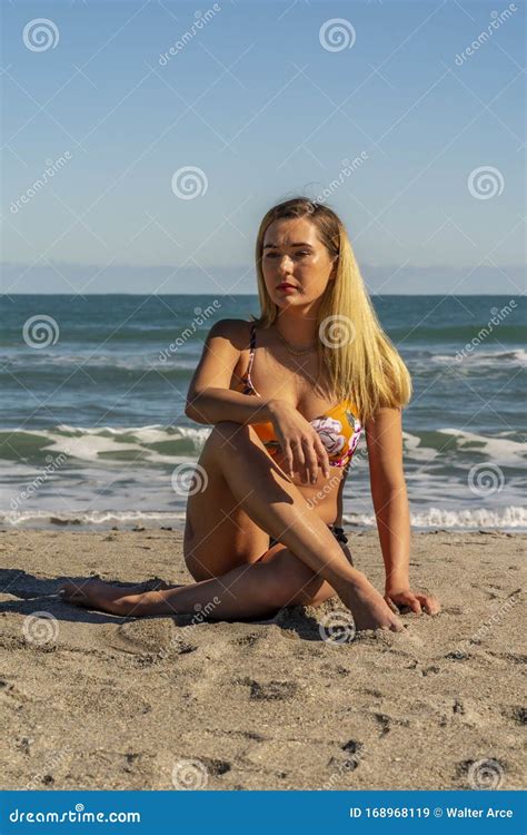 Beautiful Bikini Model Posing In A Beach Environment Stock Image