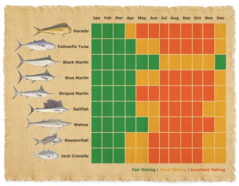 Loreto Mexico Fishing Calendar Print Templates Calendar