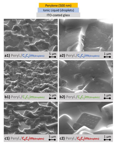 Fig S5 Detailed Morphology Of The Different Microstructures