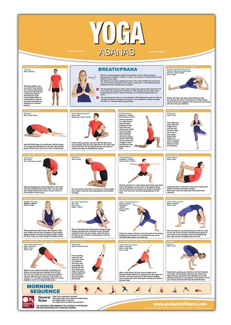 Yoga Exercise Poster Yoga Poses Chart Images And Photos Finder