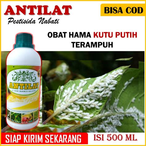 Jual Original Pestisida Organik Antilat Obat Hama Lalat Buah