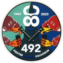 D Fighter Squadron Th Anniversary Flightline Insignia