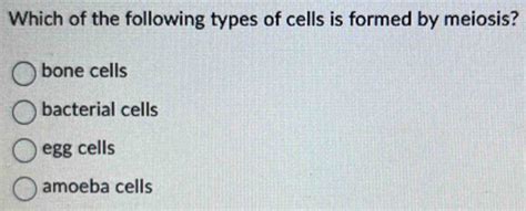 Solved Which Of The Following Types Of Cells Is Formed By Meiosis