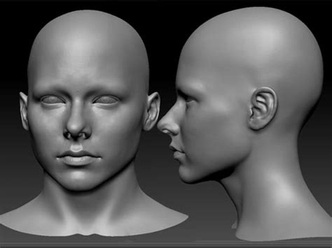 Sculpt 3d Realistic Head And Bust For 3d Head Model For 3d Printing By