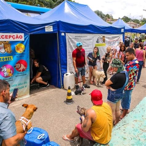 Abertas inscrições para o mutirão de castrações gratuitas de cães e