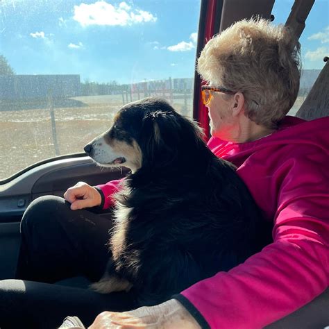 Langley Farms Australian Shepherds & Corgis | Staley NC