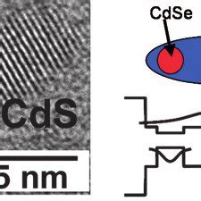 Left Hrtem Image Of A Single Coreshell Cdse Cds Rod Like Nc With The