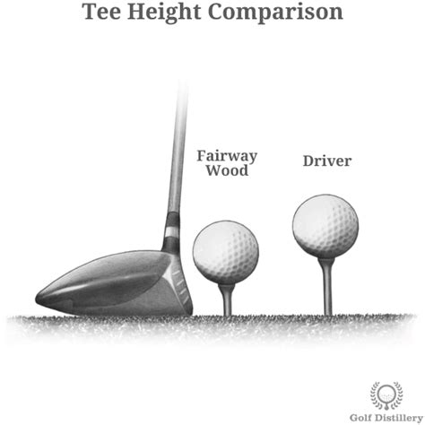 Fairway Wood - Golf Club Illustrated Guide | Golf-Terms.com