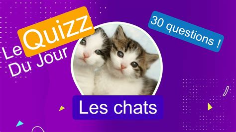 Quizz Les Chats Youtube