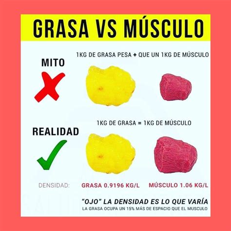 Kilos De Grasa Vs Kilos De Musculo Combi