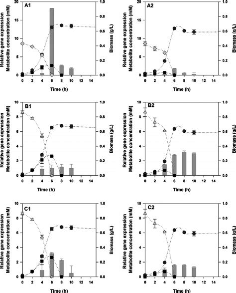 Differential gene expression of acs ( a ), cobB ( b ) and patZ ( c ...