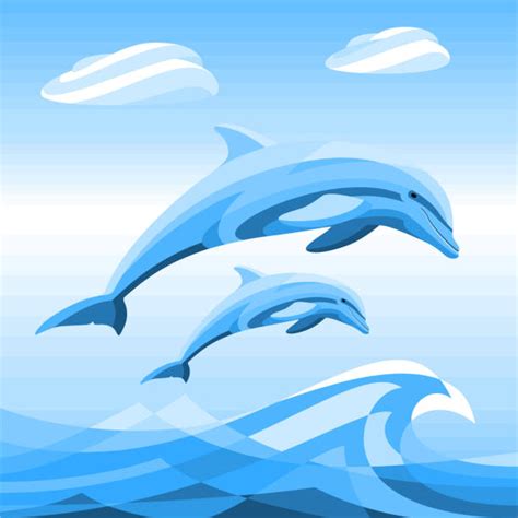 Best Dolphins Jumping Out Of Water Illustrations Royalty Free Vector