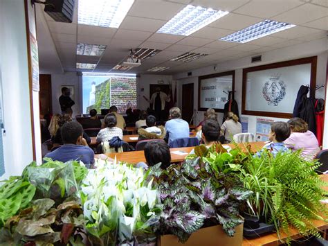 Resumen Del Curso De Jardines Verticales En Madrid Urbanarbolismo