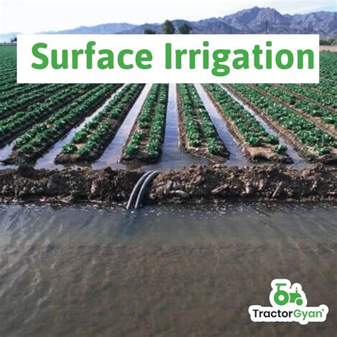 Irrigation System In Farming Understand Sources Methods And