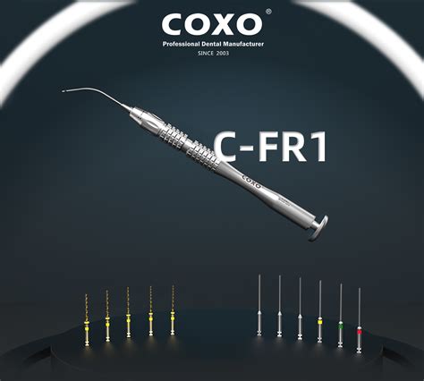 C Fr Coxo Dental