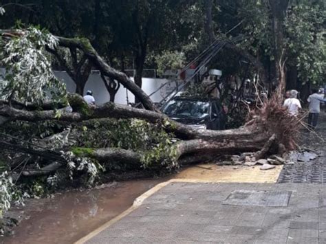 Chuva de granizo causa estragos em GV | Portal Diário do Aço