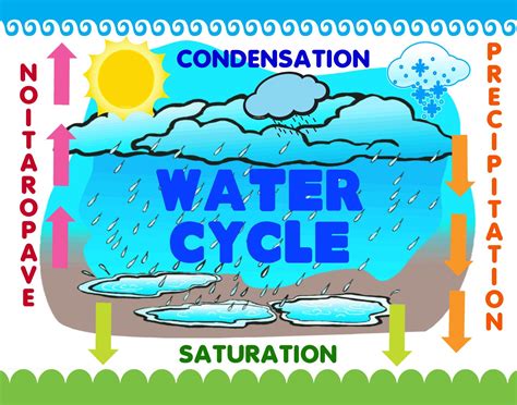 Make a Science Fair Project | Poster Ideas - Water Cycle | Weather Science Project for Kids ...