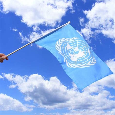 United Nations Hand Flag United Nations Hand Flags The Flag Shop