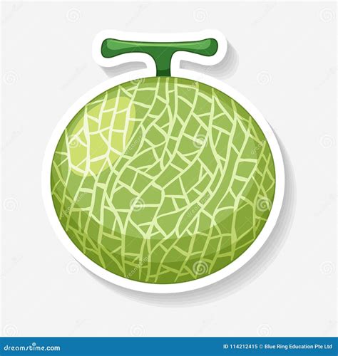 Sticker Design For Melon Stock Vector Illustration Of Clip 114212415