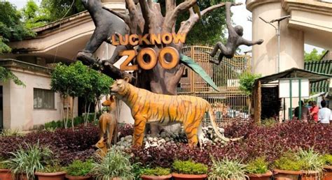 Lucknow Zoo - Discover India