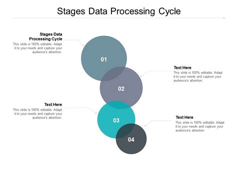 Stages Of Data Processing Cycle