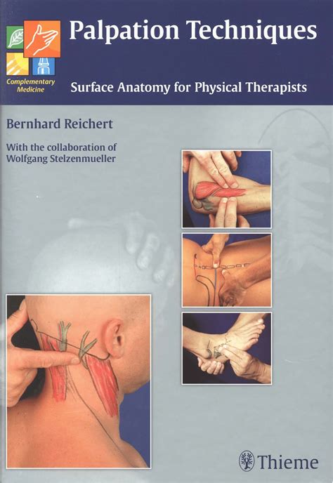 PALPATION TECHNIQUES: Surface Anatomy For Physical Therapist BOOK [PDF Free Download] by ...