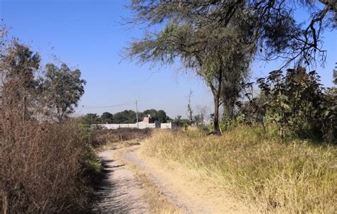 Asesinan A Hombre En Brecha De Tlajomulco Notisistema