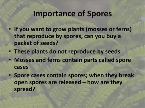 Seedless Plants Reproduction