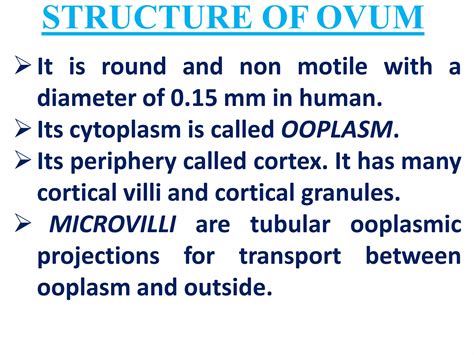 Structure of Ovum | PPT