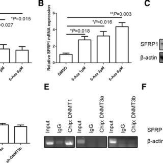 Association Of SFRP1 Expression With The Hypermethylation Of The