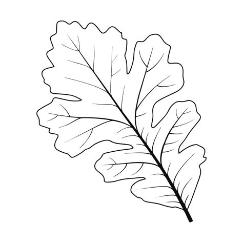 Printable Oak Leaf Template Printable Jd