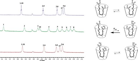 Figure 3 From Water Soluble Cavitands Promote Hydrolyses Of Long Chain Diesters Semantic Scholar