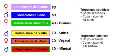 Les 6 niveaux de conscience de l être humain 345D fr