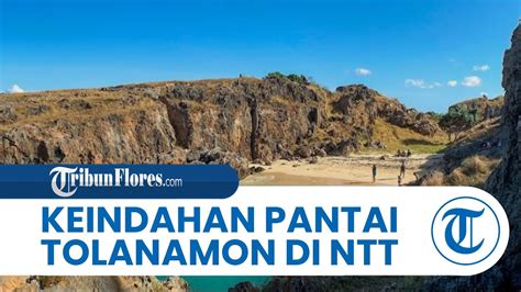 Pesona Pantai Tolanamon Di Rote Ndao Menampilkan Keindahan Pantai Yang