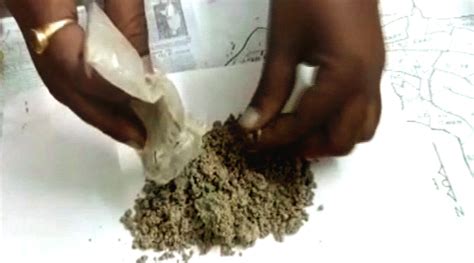 Over 1 Kg Brown Sugar Seized In Bhadrak Orissapost