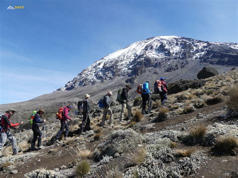 Kilimandscharo Besteigung Mit Bergauf Bergauf Exklusive Wander Und