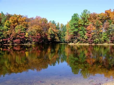 Free Images Landscape Tree Water Nature Wilderness Morning Leaf