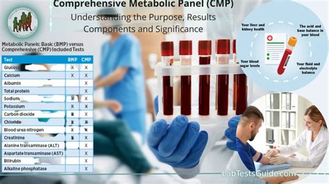 Understanding The Comprehensive Metabolic Panel Cmp Components And Significance