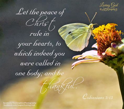 Devotional For Today Quotes. QuotesGram