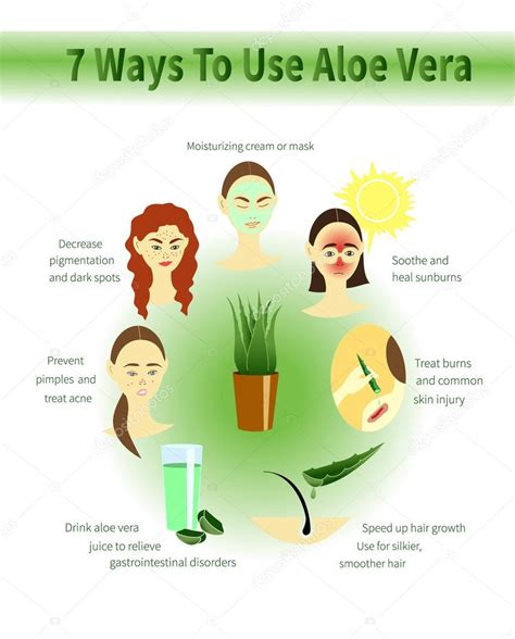 Infograf A De Aloe Vera Usos Del Aloe