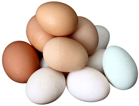 Eggs Png Image Png Eggs Png Images Images And Photos Finder