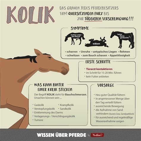 Kolik Pferd Erkennen Information Online