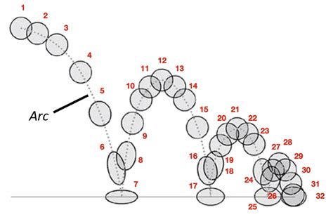 Principles of Animation: Arcs and Ease In/ Ease Out