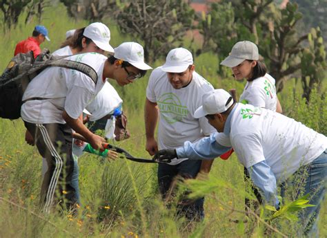 Medio Ambiente Fundación Cie