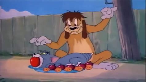 Tom And Jerry Best Funny Moment Youtube