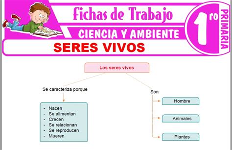 Seres Vivos Para Primero De Primaria Fichas De Trabajo