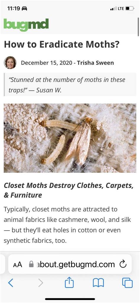 Need to get rid of closet moths | DIY Home Improvement Forum