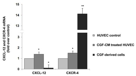 CXCL 12 And CXCR 4 Expression In CGF Derived Cells And CGF CM Treated