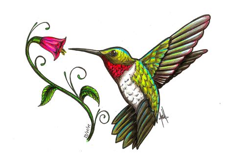 Hummingbird Hummingbird Tattoo Hummingbird Art Hummingbird Painting